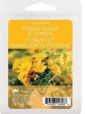 ScentSationals Fresh Daisy & Lemon Scented Wax Cubes - Yellow